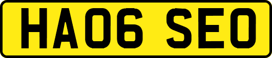 HA06SEO