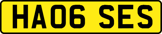HA06SES