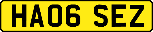 HA06SEZ