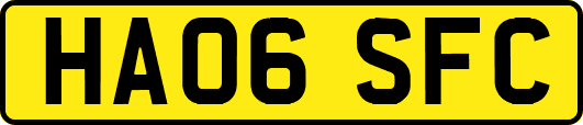 HA06SFC