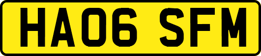 HA06SFM