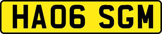 HA06SGM