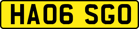 HA06SGO