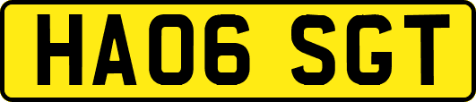 HA06SGT