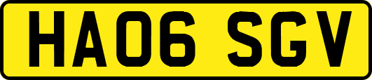 HA06SGV