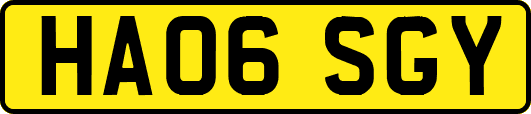 HA06SGY