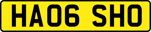 HA06SHO