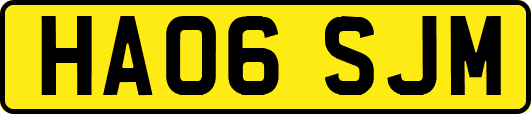 HA06SJM