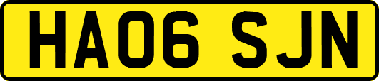 HA06SJN