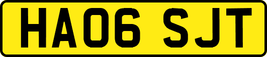 HA06SJT