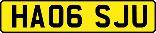 HA06SJU
