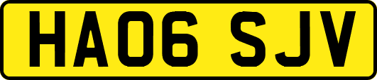 HA06SJV