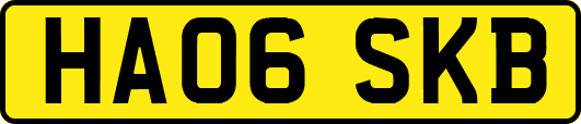 HA06SKB