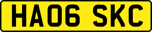 HA06SKC
