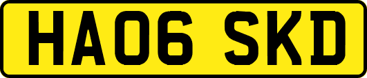 HA06SKD