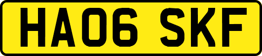 HA06SKF