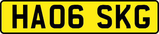 HA06SKG