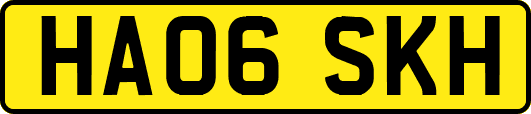HA06SKH