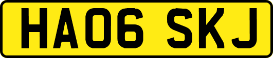 HA06SKJ