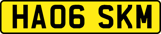 HA06SKM