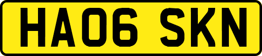 HA06SKN