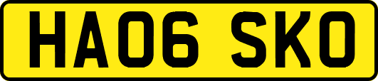 HA06SKO