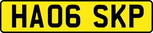 HA06SKP