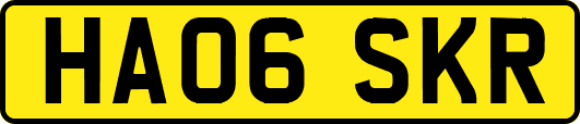 HA06SKR
