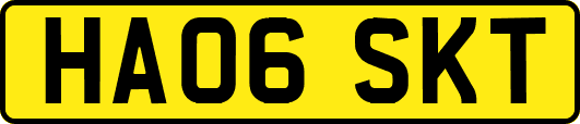 HA06SKT
