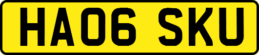 HA06SKU
