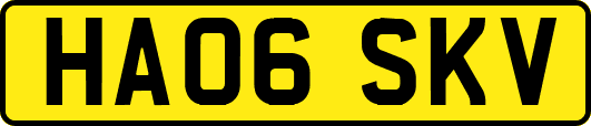 HA06SKV