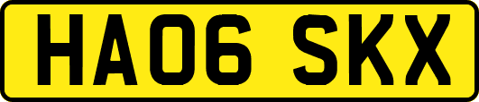 HA06SKX