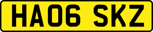 HA06SKZ