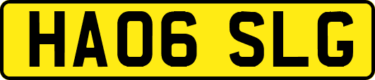 HA06SLG