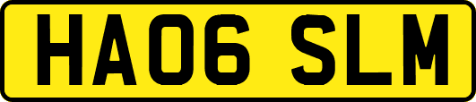 HA06SLM