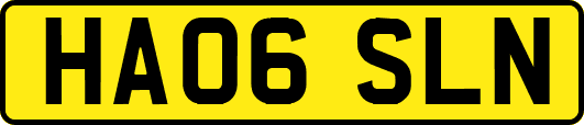 HA06SLN