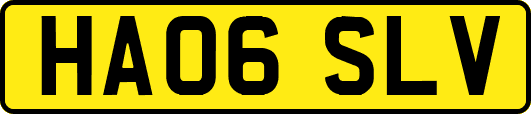 HA06SLV