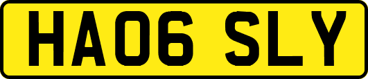 HA06SLY