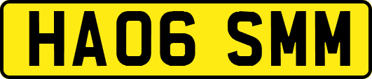HA06SMM