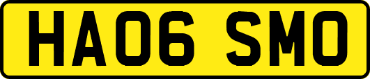 HA06SMO
