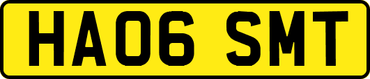 HA06SMT