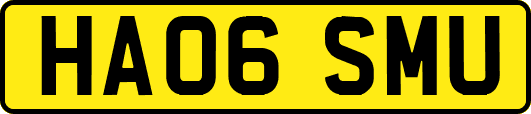 HA06SMU