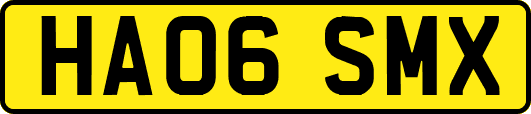 HA06SMX