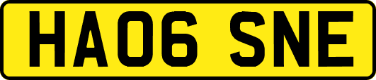 HA06SNE