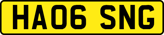HA06SNG