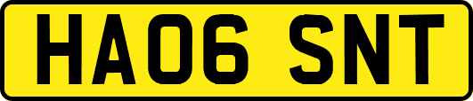 HA06SNT