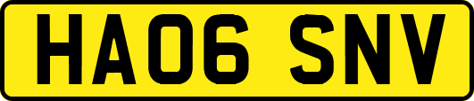 HA06SNV