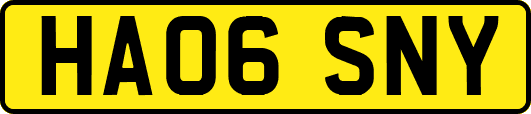 HA06SNY