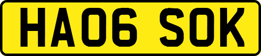 HA06SOK