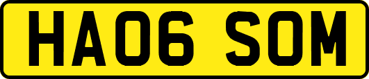 HA06SOM